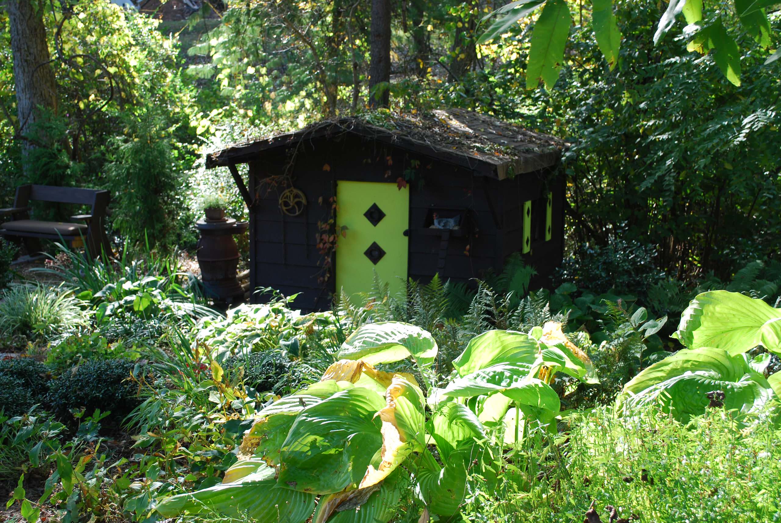Garden Shed with hostas.