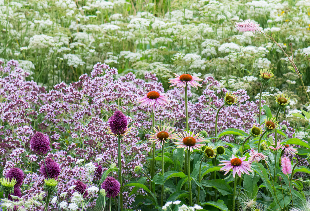 Цветник в  природном стиле  (" New Perennials"  или "Новая волна")
