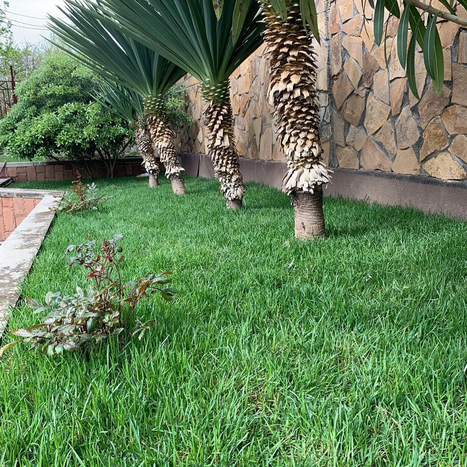 Наши работы