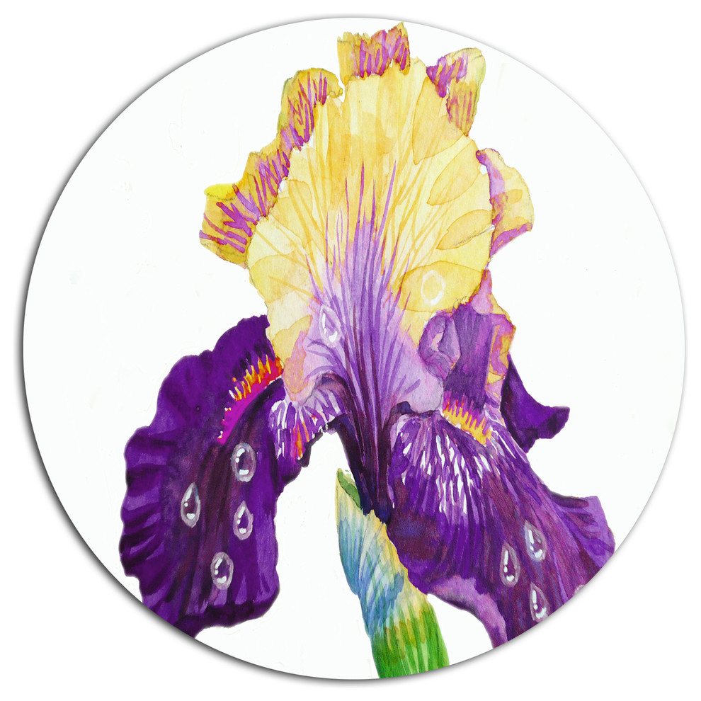 Blooming Blue Yellow Iris, Floral Wall Round Metal Wall Art, Disc of 11 inch Contemporary