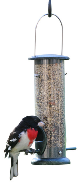 2 Port Tube Feeder Traditional Bird Feeders By Birds Choice