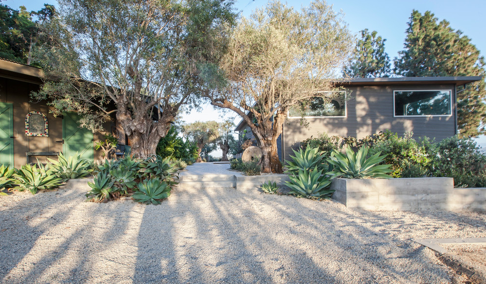 Photo of a large contemporary courtyard partial sun garden in Los Angeles with a garden path and gravel.