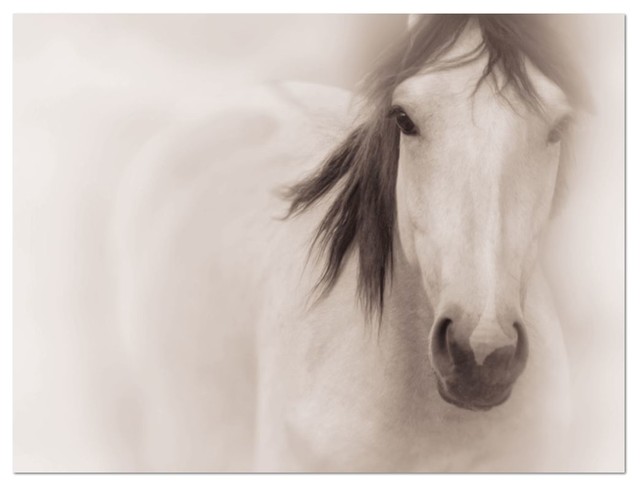 Horse photography on canvas • large wall art 30x40 Horse photography on canvas • large wall art 30x40