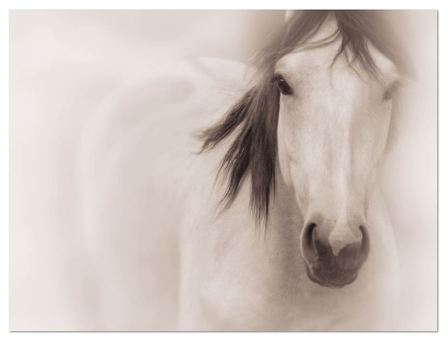 Horse Photography on Canvas • Large Wall Art, 30x40