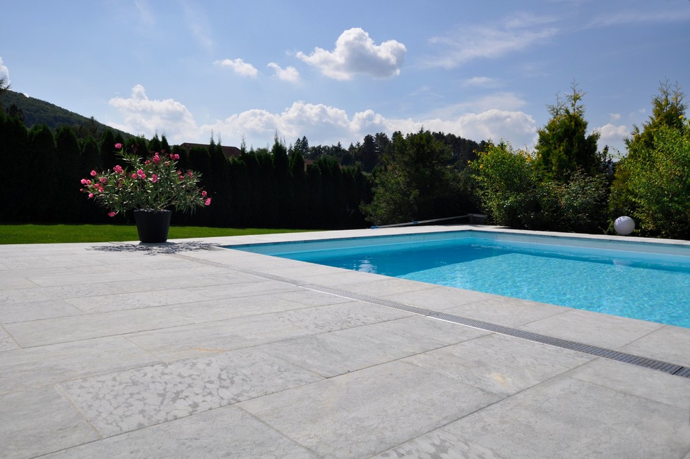 Large backyard stone and rectangular lap pool photo in New York
