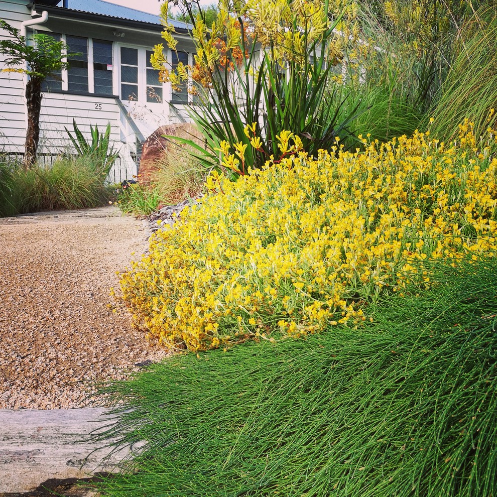 Inspiration for a mid-sized and australian native country garden in Sunshine Coast.