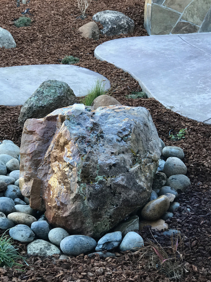 Benicia Low-maintenance front yard