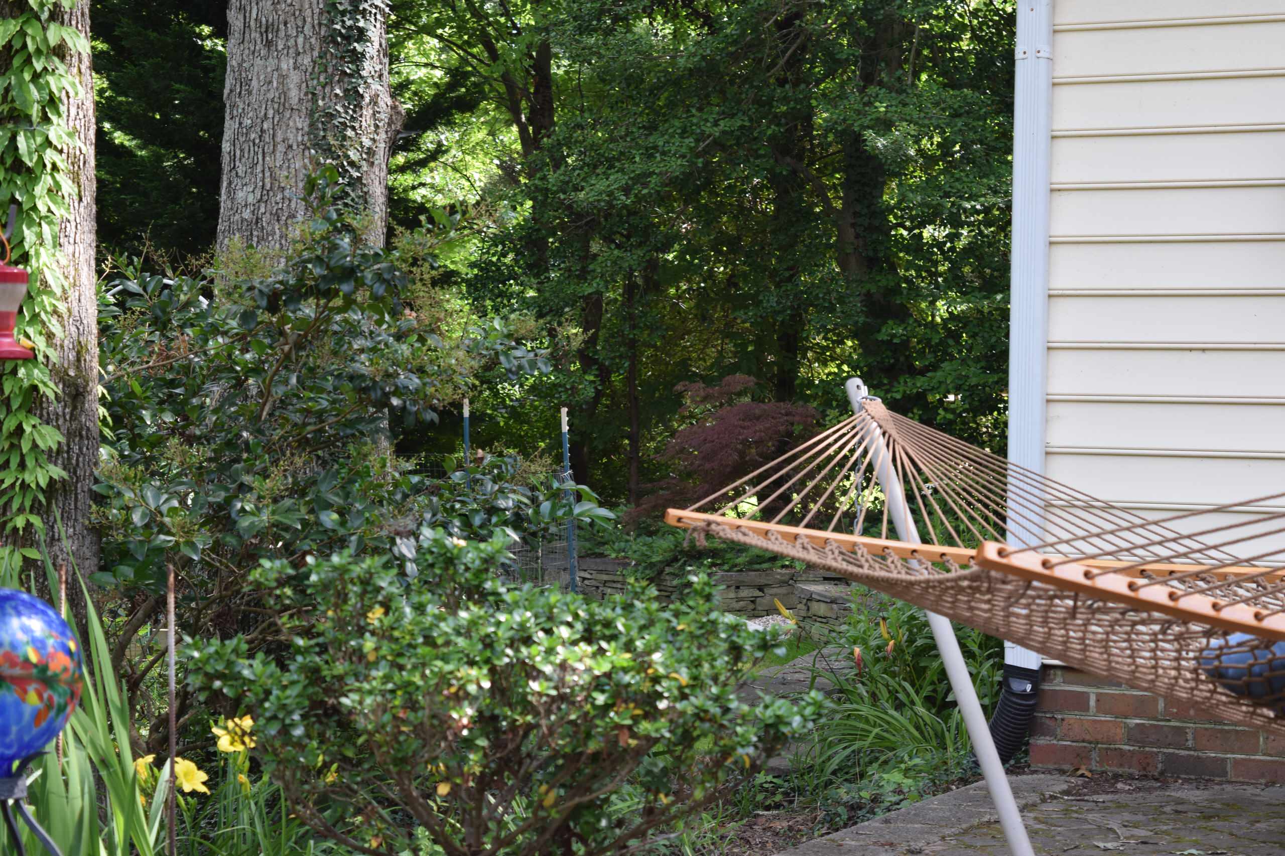 Back yard makeover