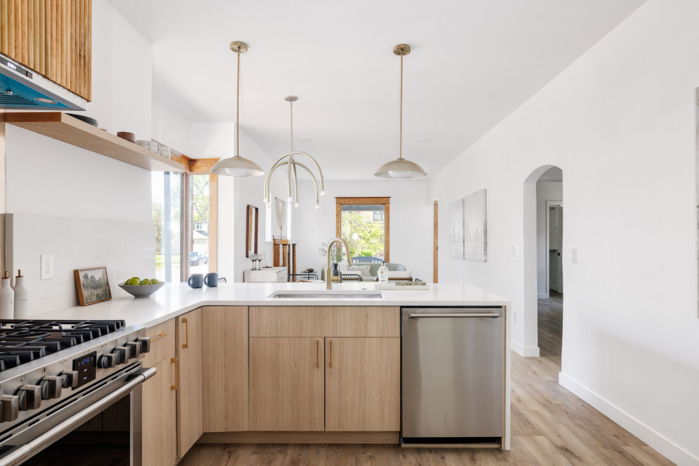 Platt Park Full Home Renovation