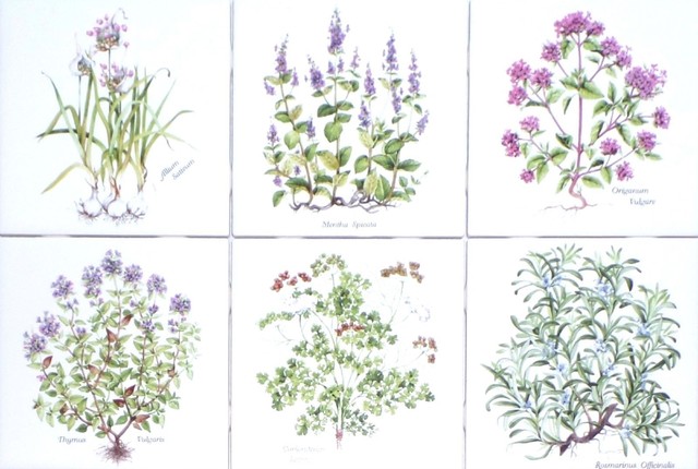 Herb Ceramic Tiles Set 6 Of 4 25 X Kiln Fired Back Splash Herb Ceramic Tiles Set 6 Of 4 25 X