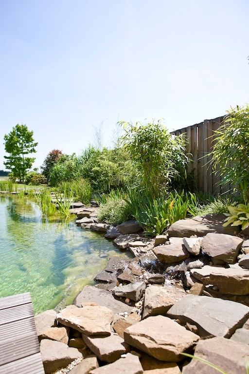 Photo of a large contemporary backyard custom-shaped natural pool in Dusseldorf with natural stone pavers and a water feature.