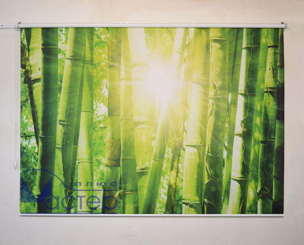 Рулонные шторы с фотопечатью