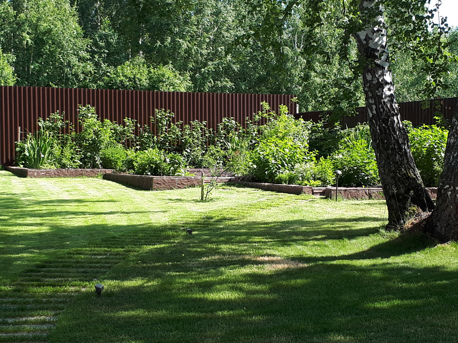 Сад для молодой семьи