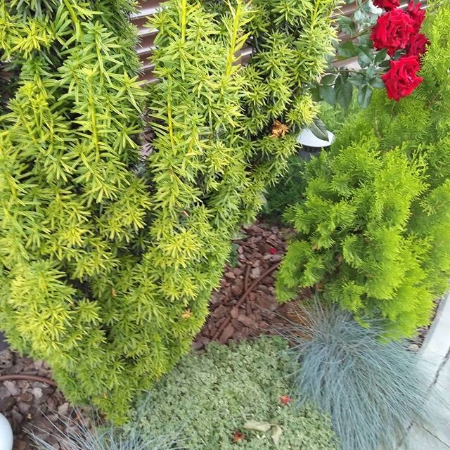 Дизайн маленького участка