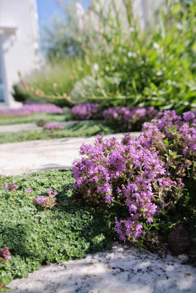 Naturpool im Familiengarten