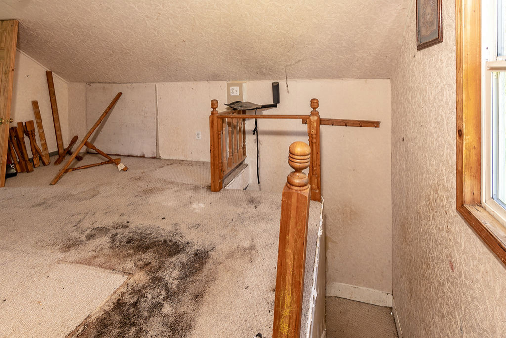 Whole House Remodel