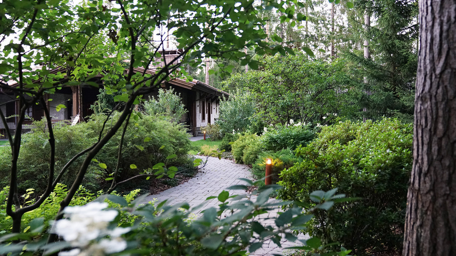 Мечта об Альпах. КП Вымпел