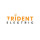 Trident Electric LLC