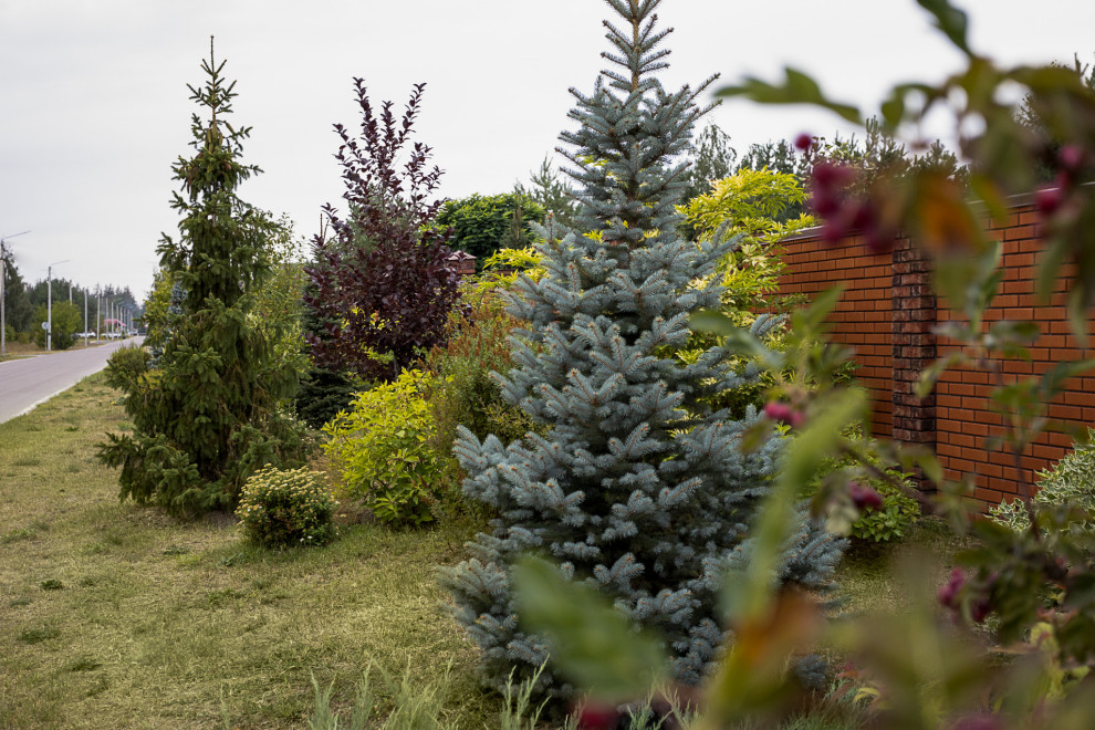 Ландшафтный дизайн. Полина Черных