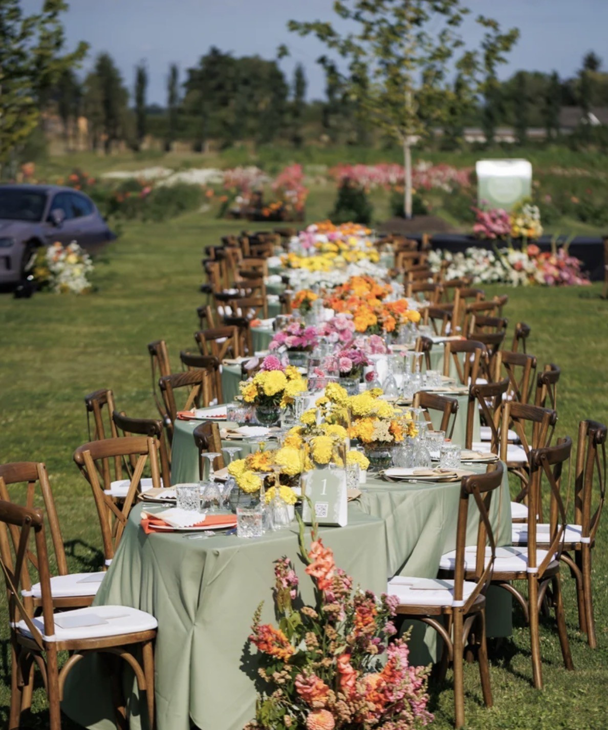 Athiana Acres:  An organic Regenerative Farm