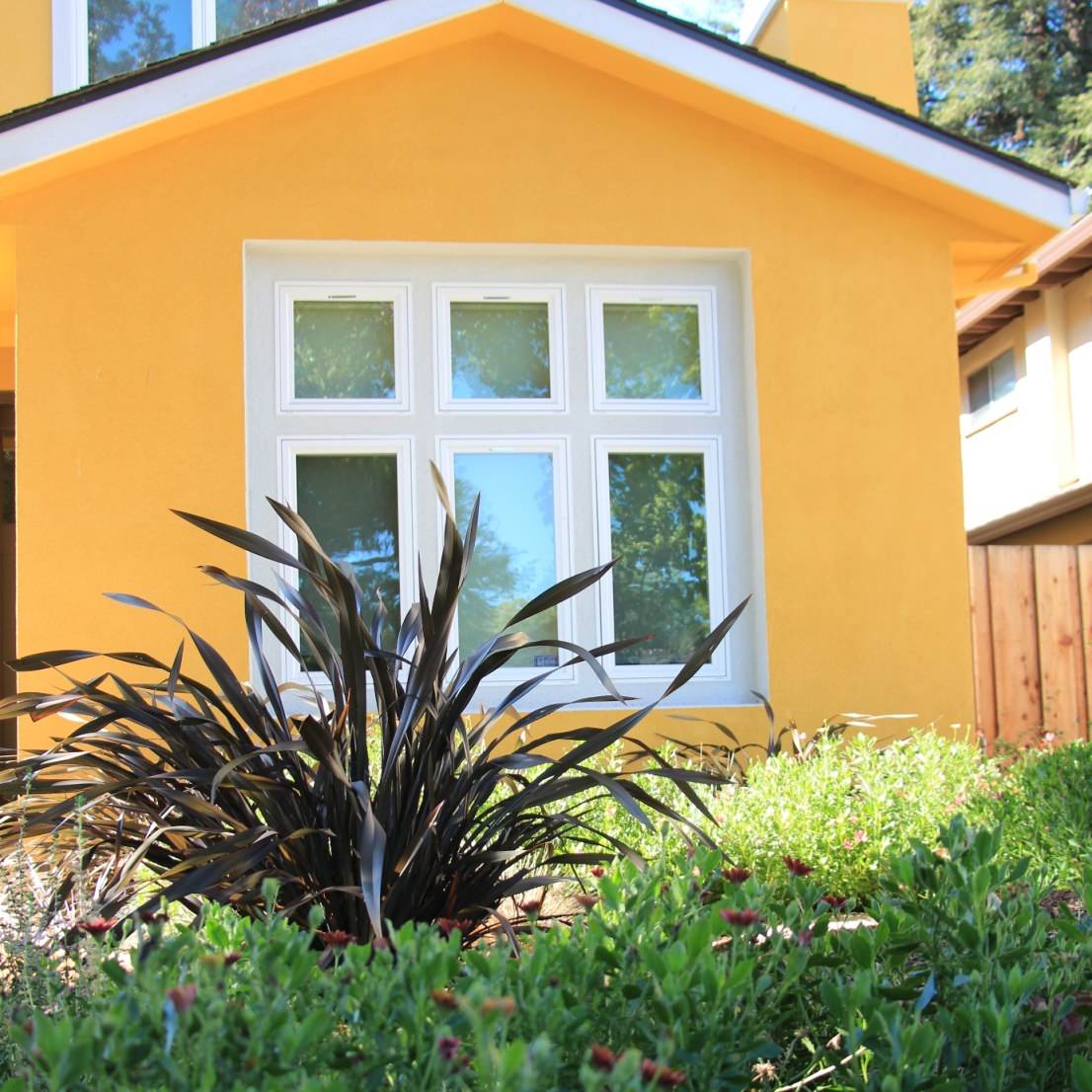 Vivide colors garden