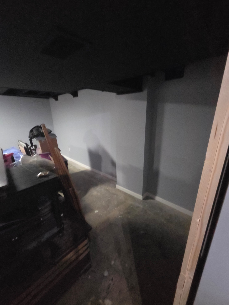 Basement Remodeling