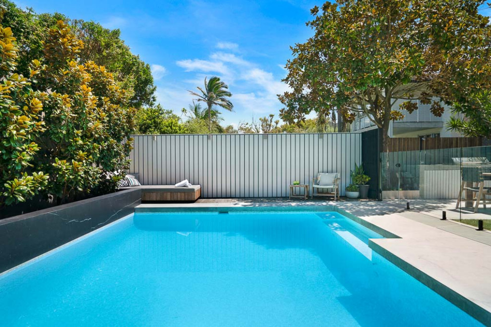 Imagen de piscina contemporánea grande rectangular en patio trasero con paisajismo de piscina, privacidad y adoquines de hormigón