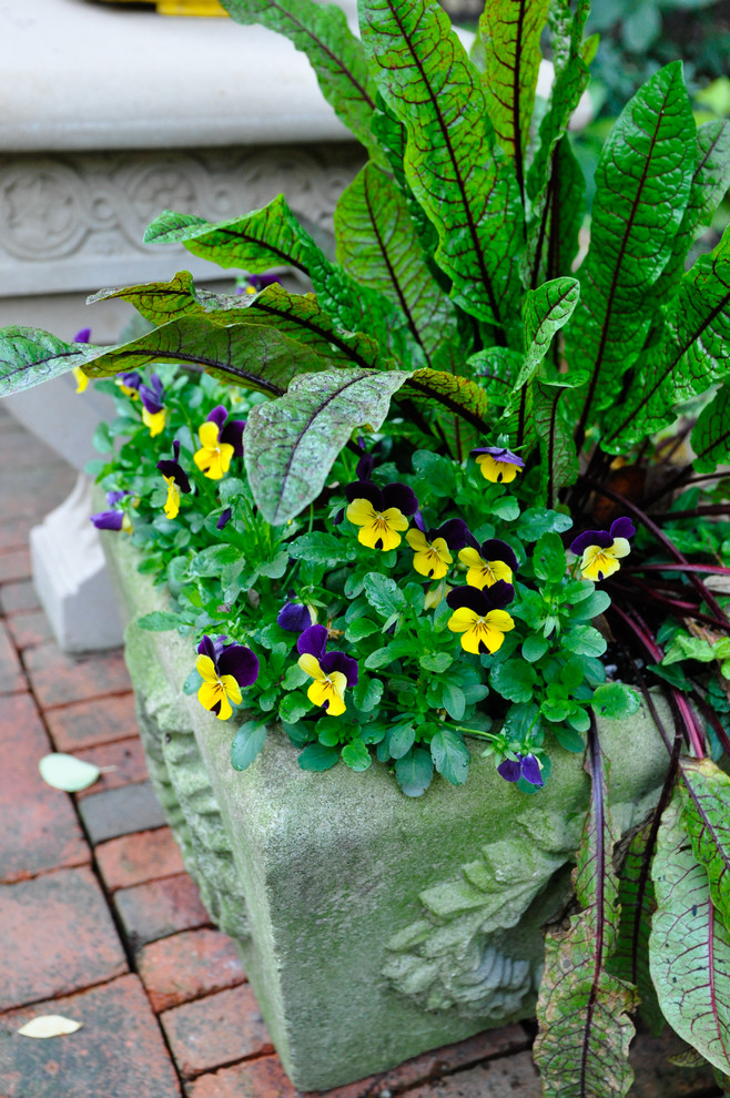 This is an example of a traditional landscaping in Columbus.