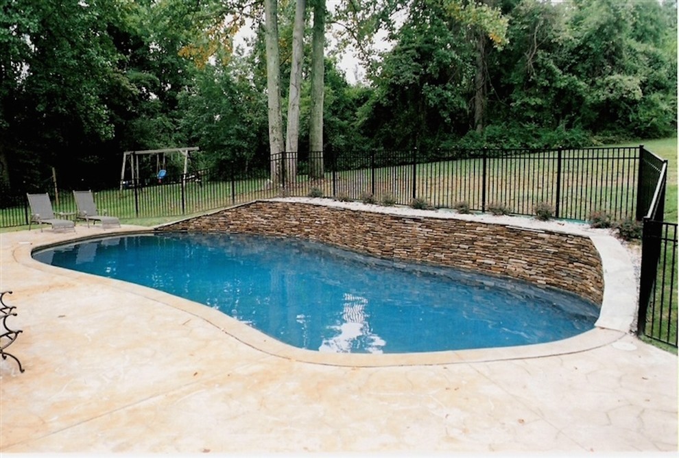 Mid-sized backyard stone and kidney-shaped lap pool photo in Baltimore