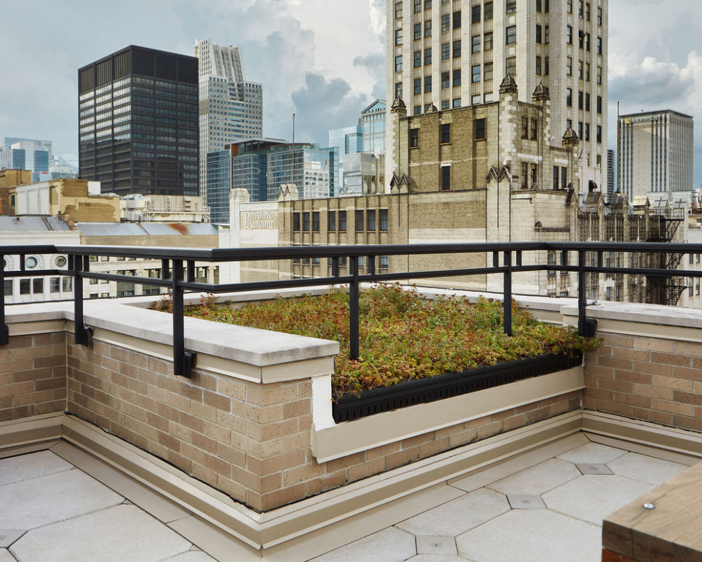 Foto di una grande terrazza minimalista sul tetto e sul tetto con una pergola, parapetto in metallo e un giardino in vaso