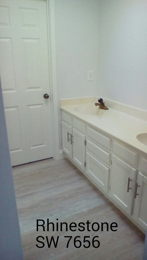 Bathroom painted Rhinestone SW 7656