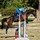 poniesandpups