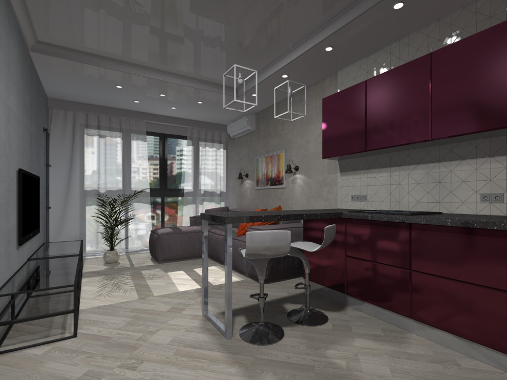 кухня_гостиная