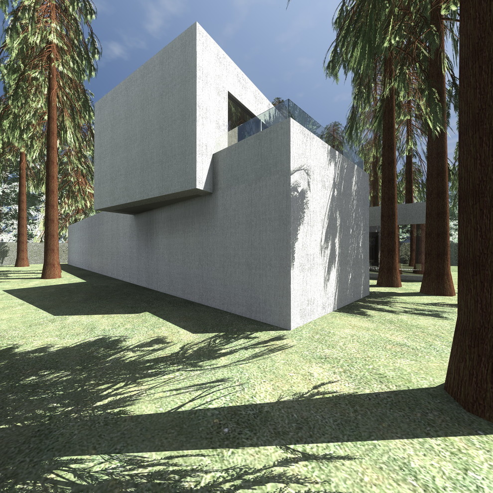 House extension and reconstruction in Skolkovo