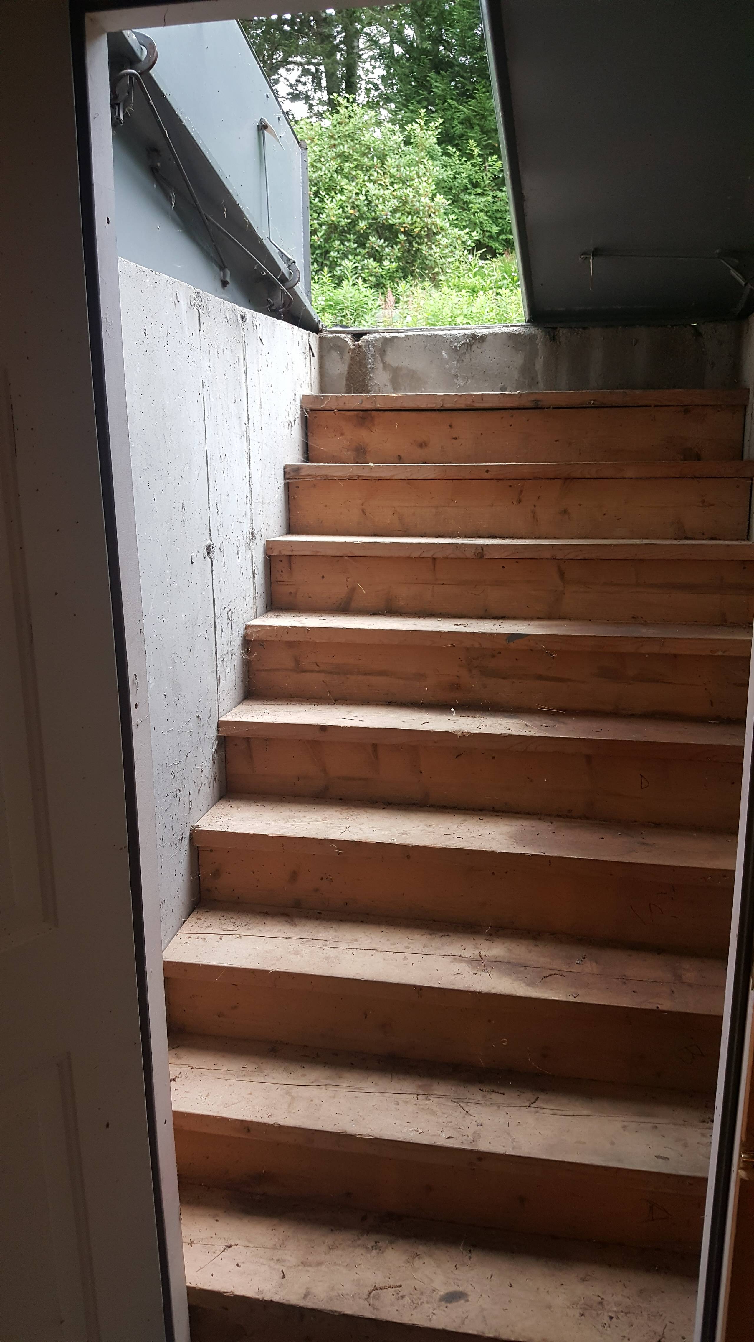 Bulkheads & Basement Windows