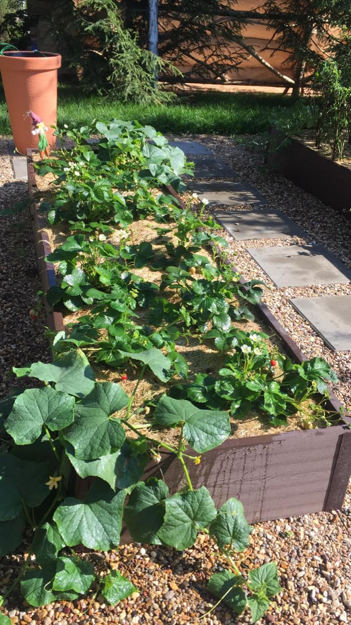 Территория удовольствий.Частный сад.