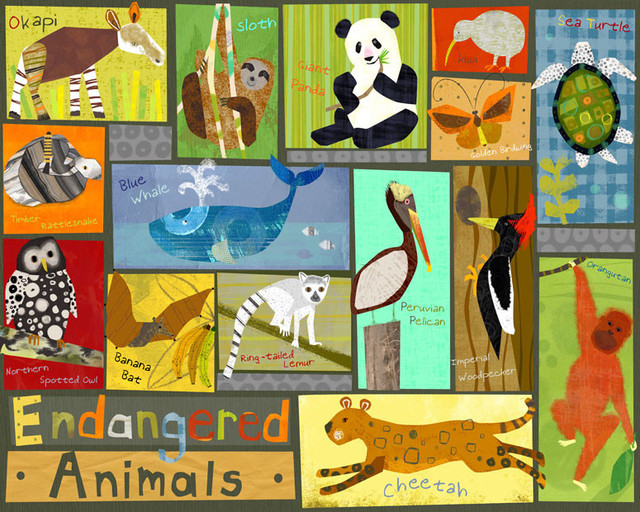 Endangered Animals Canvas Wall Art Contemporary Kids Wall Decor By Oopsy Daisy Fine Art For Kids