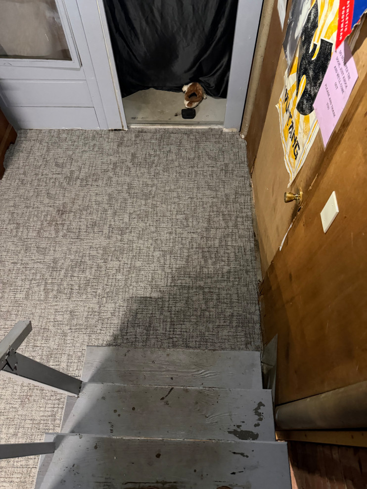 carpet flooring
