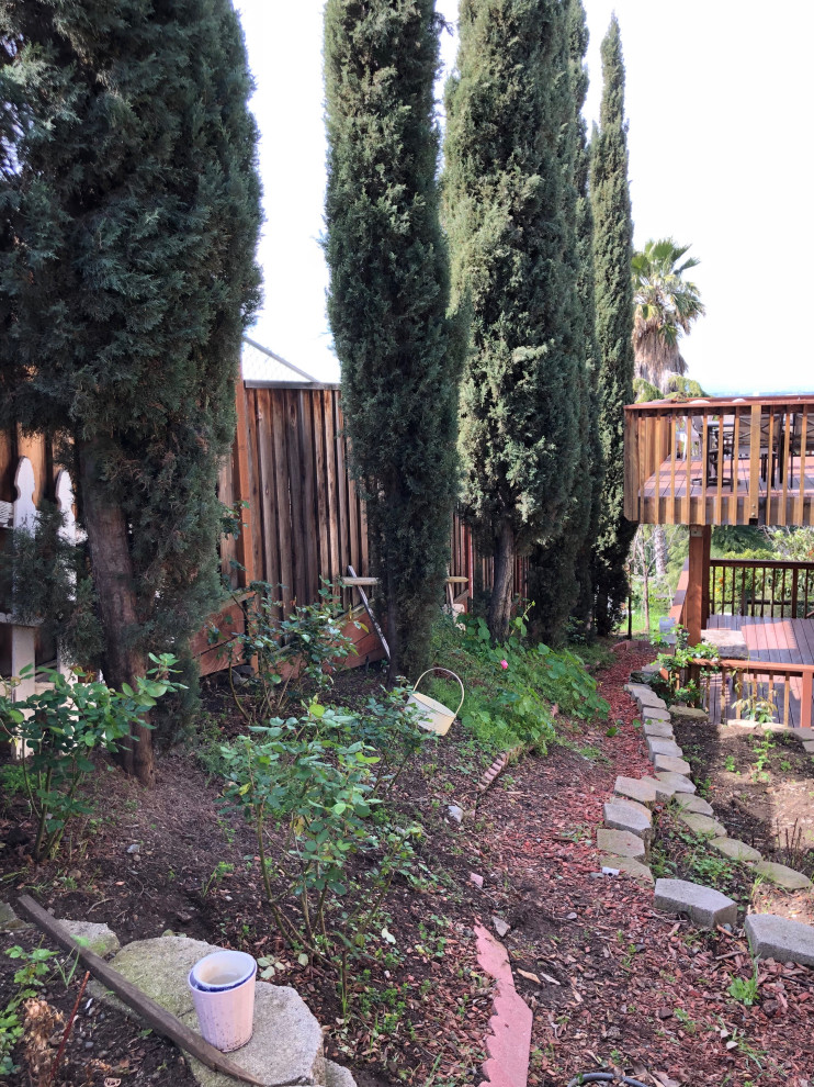 Old Piedmont Project