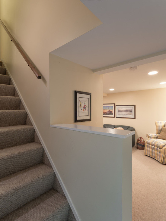 Mid-sized transitional underground carpeted basement photo in Chicago with yellow walls and no fireplace