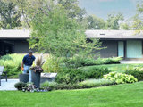 Midcentury Landscape by Hursthouse Landscape - Architect, Build, Maintain