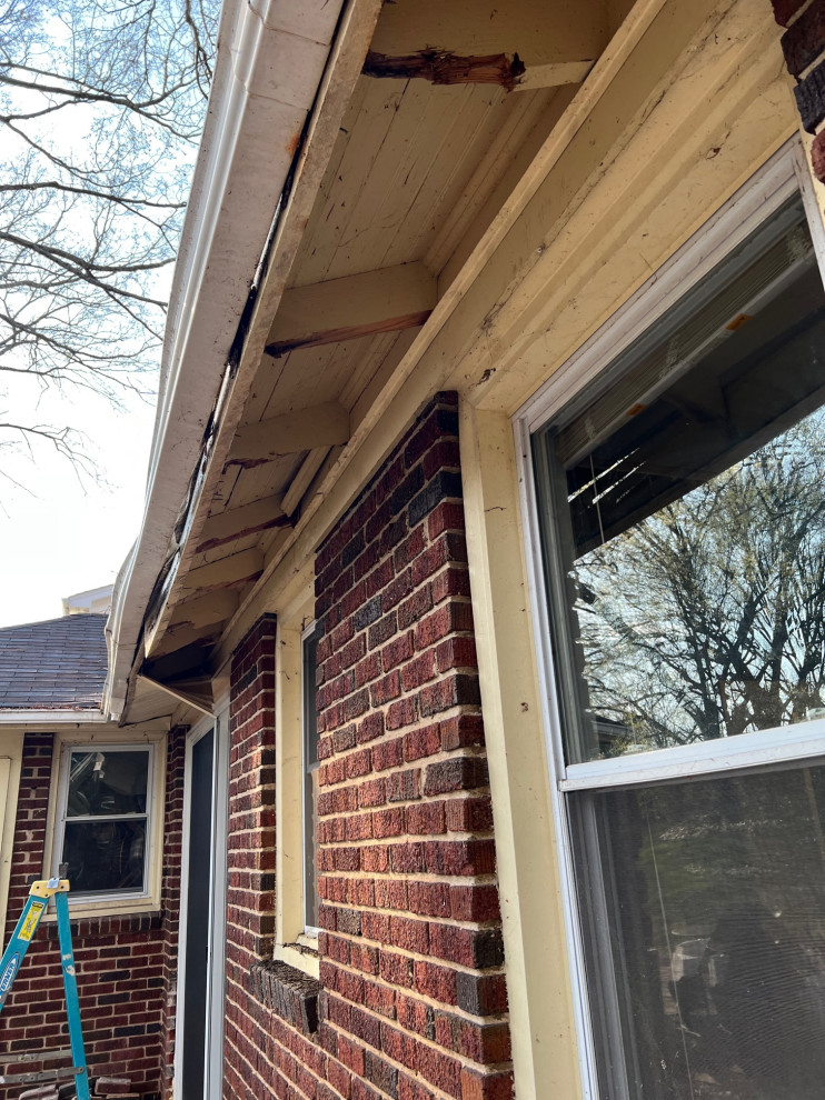 Exposed Rafter tails or Soffit?