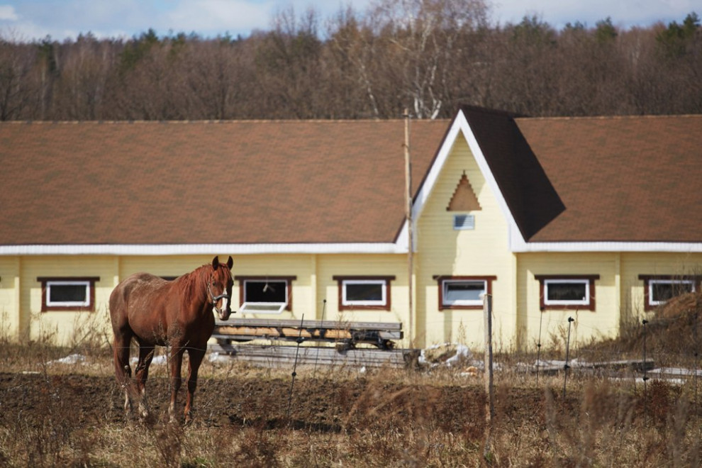 Конюшня в пос. Владыкино на 44 головы
