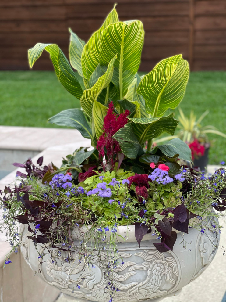 Highland Park Landscape Design