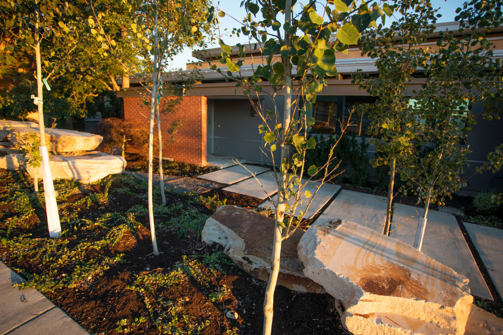 Idéer för en mellanstor modern trädgård som tål torka och framför huset, med en trädgårdsgång och naturstensplattor