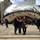lisa_viscardi
