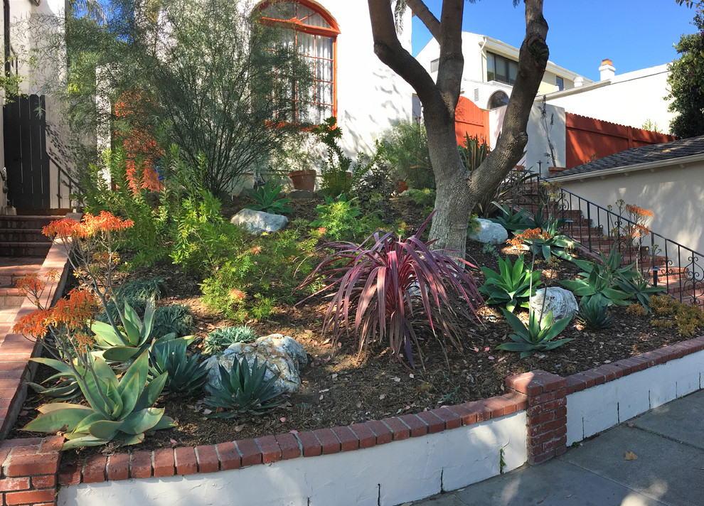 Inspiration for a small mediterranean front yard shaded xeriscape for winter with mulch.
