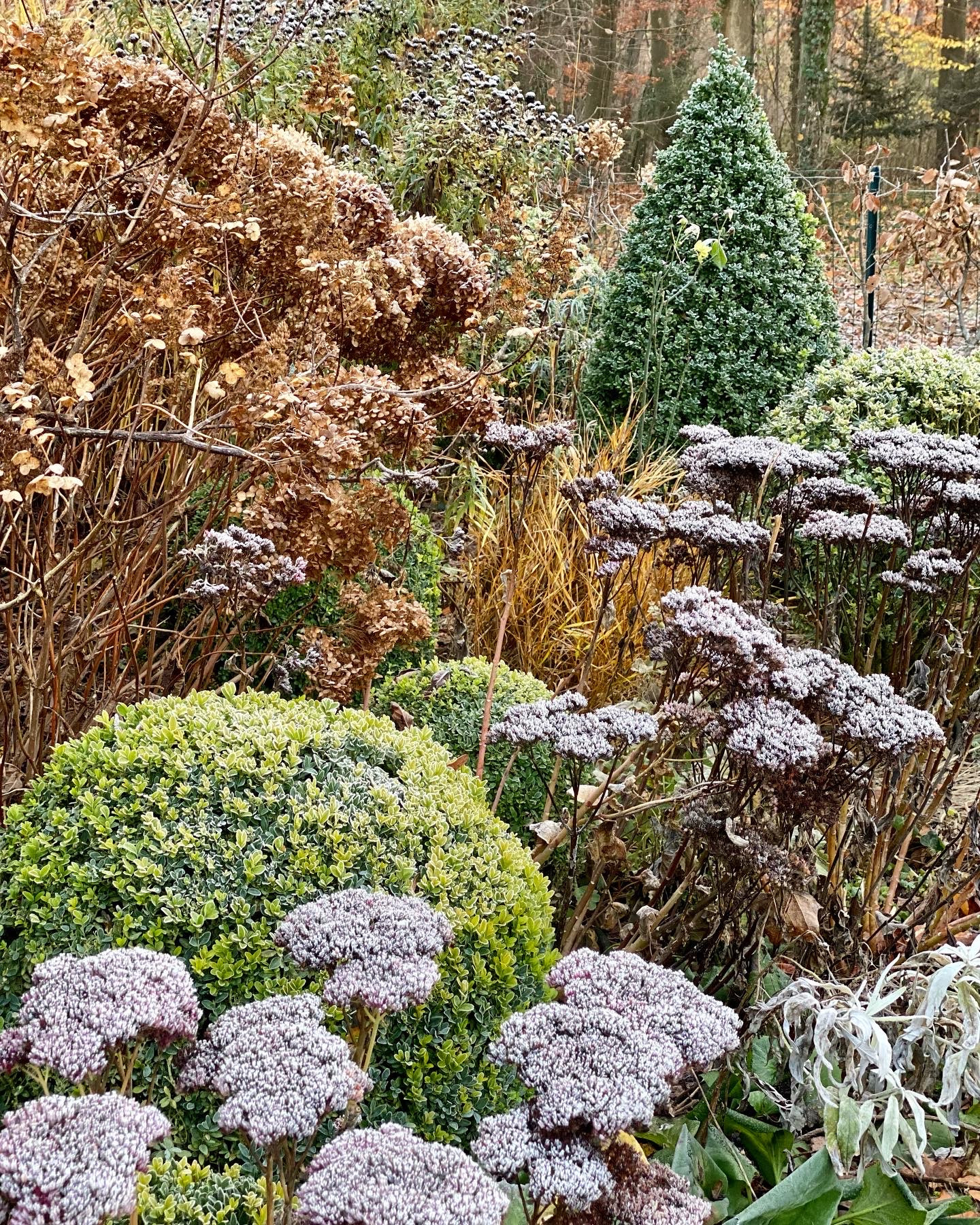 Transformation d'un jardin