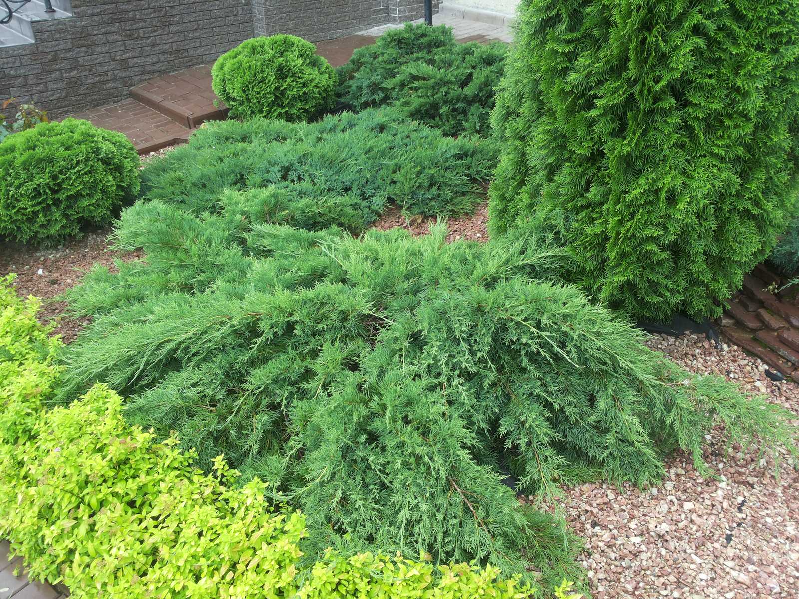 Автоматический полив в Московской области