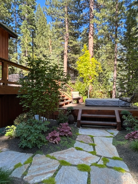 Tahoe Living
